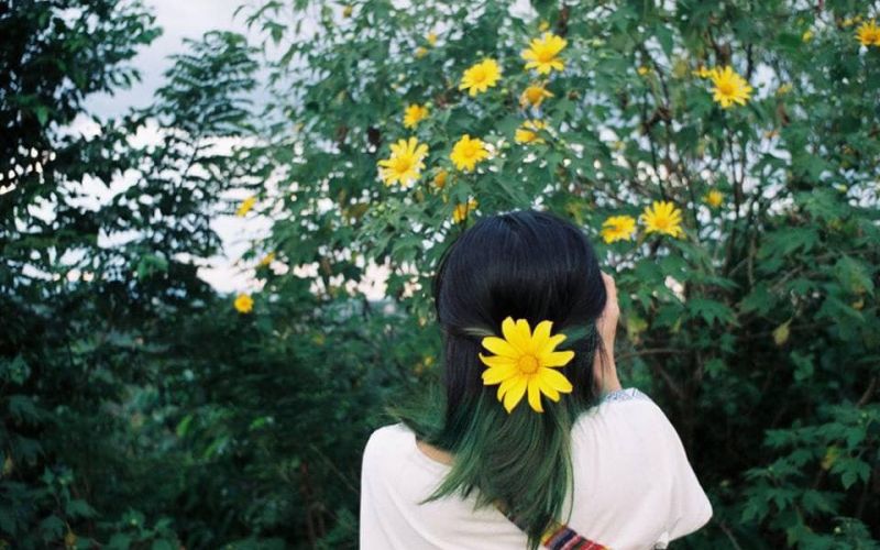 Rủ hội bạn thân ngắm hoa dã quỳ tháng 10 tại Ba Vì Rủ hội bạn thân ngắm hoa dã quỳ tháng 10 tại Ba Vì