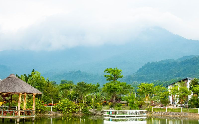 Vườn Quốc Gia Ba Vì điểm dã ngoại cuối tuần cho cả gia đình Vườn Quốc Gia Ba Vì điểm dã ngoại cuối tuần cho cả gia đình