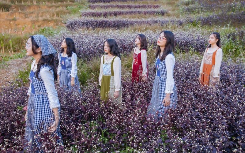 “Bắt trọn” cảnh đẹp tại Le Farm Happy Homestay Ba Vì “Bắt trọn” cảnh đẹp tại Le Farm Happy Homestay Ba Vì