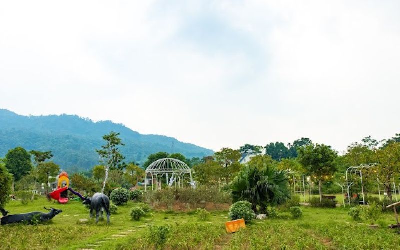 Homestay có sân bóng rộng, giá hạt dẻ thuận tiện cho hoạt động teambuilding ở Ba Vì Homestay có sân bóng rộng, giá hạt dẻ thuận tiện cho hoạt động teambuilding ở Ba Vì