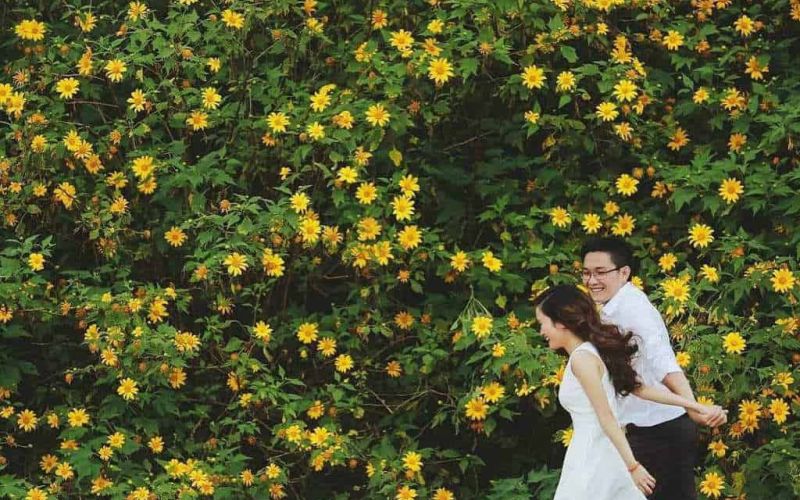 Con đường ở Ba Vì đẹp như Tây khiến ai cũng phải say đắm, ngỡ ngàng Con đường ở Ba Vì đẹp như Tây khiến ai cũng phải say đắm, ngỡ ngàng