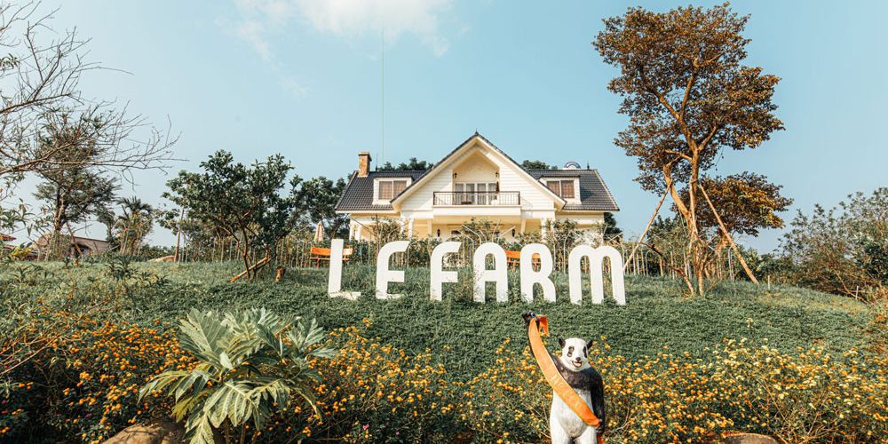  The story of LE FARM