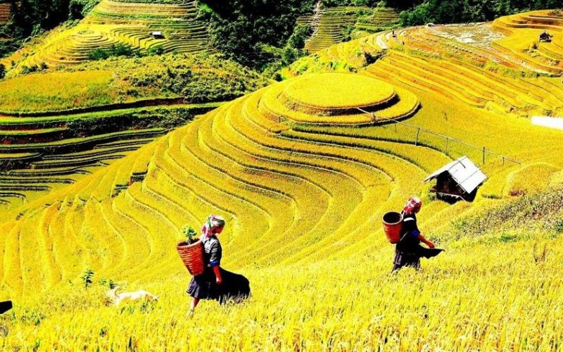 Khám phá những khu chụp ảnh mùa thu đẹp gần Hà Nội Khám phá những khu chụp ảnh mùa thu đẹp gần Hà Nội