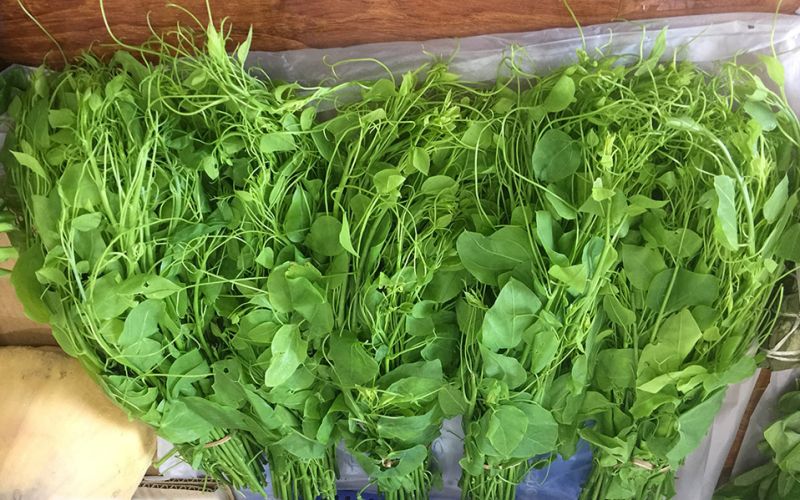 Những món ăn ngon bạn không nên bỏ lỡ khi đi du lịch Ba Vì Những món ăn ngon bạn không nên bỏ lỡ khi đi du lịch Ba Vì