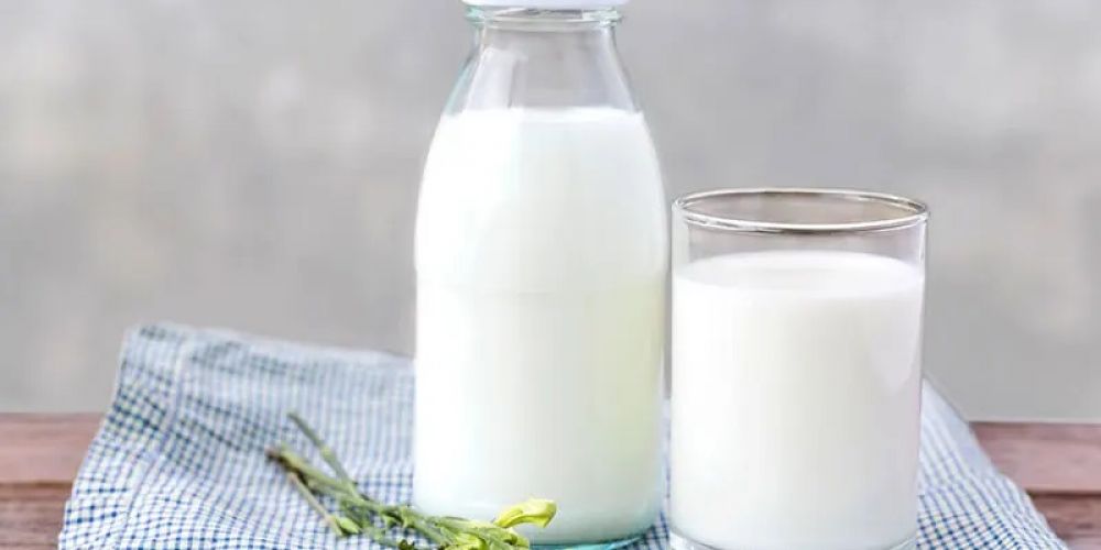 Sữa Ba Vì được nhiều người yêu thích vì sao?
