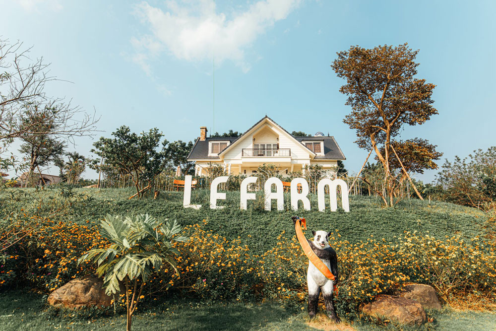 Câu chuyện về LE FARM